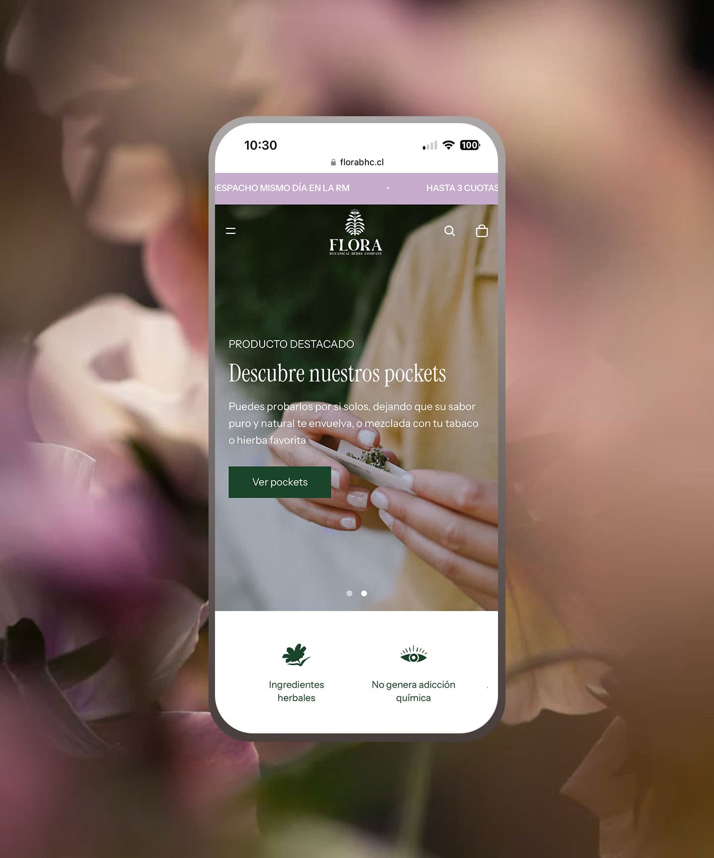 Proyecto Flora BHC - Estudio Mud, imagen 1