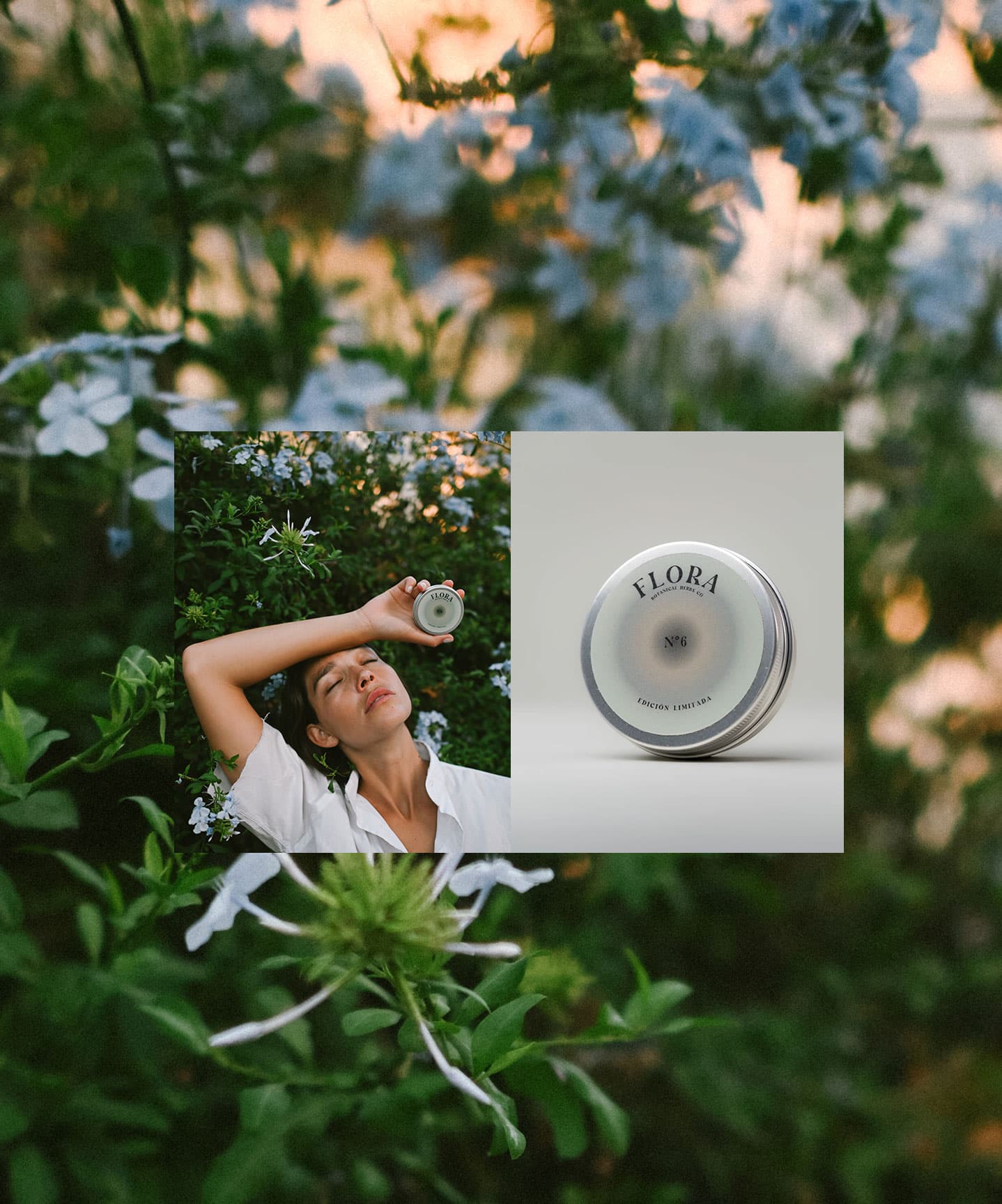 Proyecto Flora BHC - Estudio Mud, imagen 3